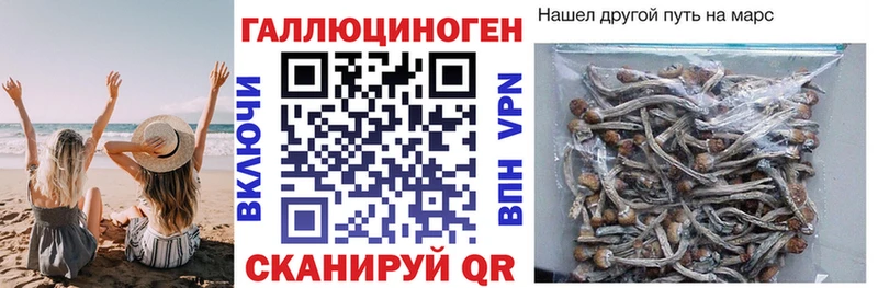 Псилоцибиновые грибы GOLDEN TEACHER  MEGA ссылки  Выкса 